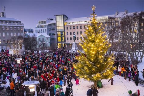 where to buy christmas tree in oslo